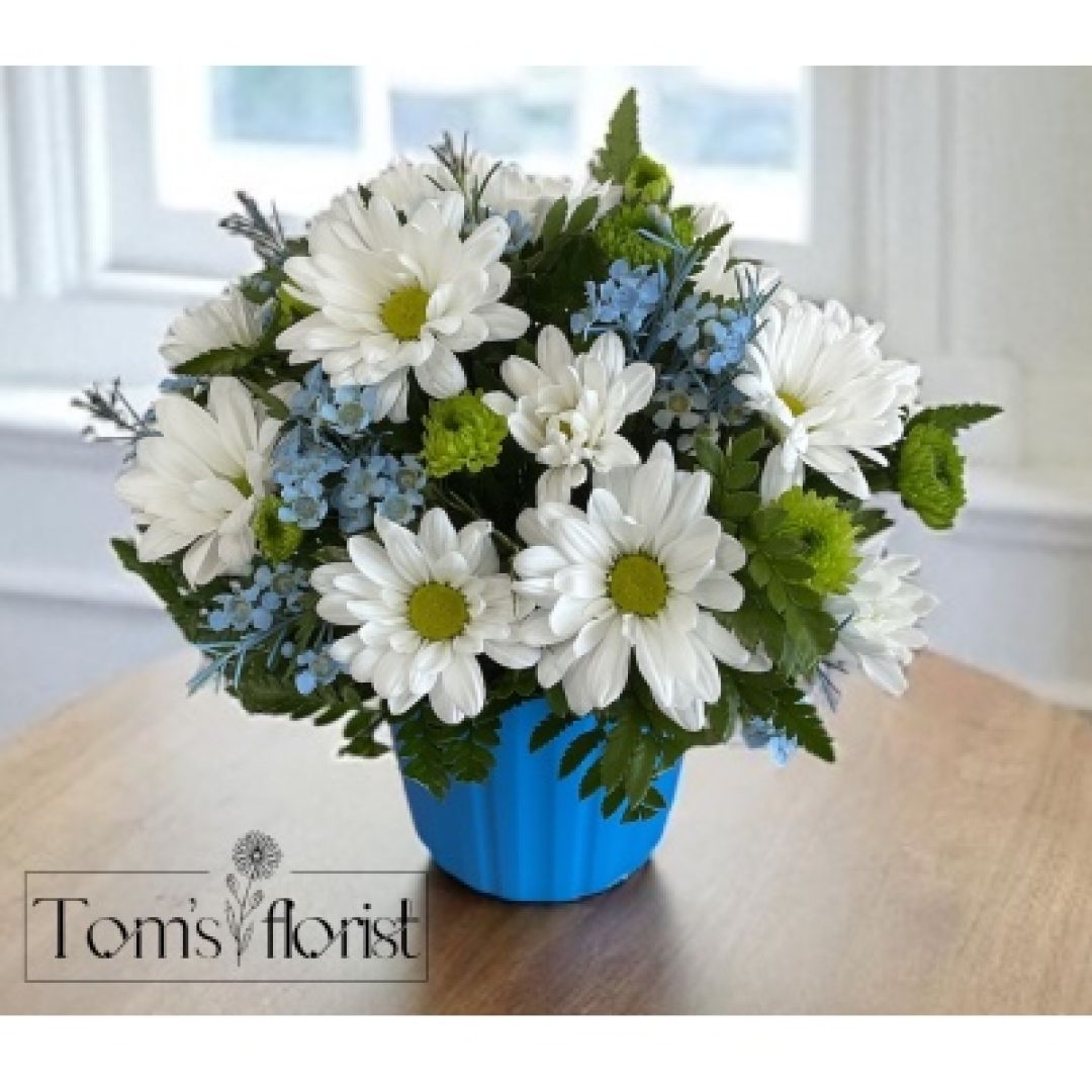 Sweet Beginnings Blue