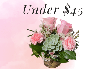 Under_$45_Category_Thumbnail_(2).png