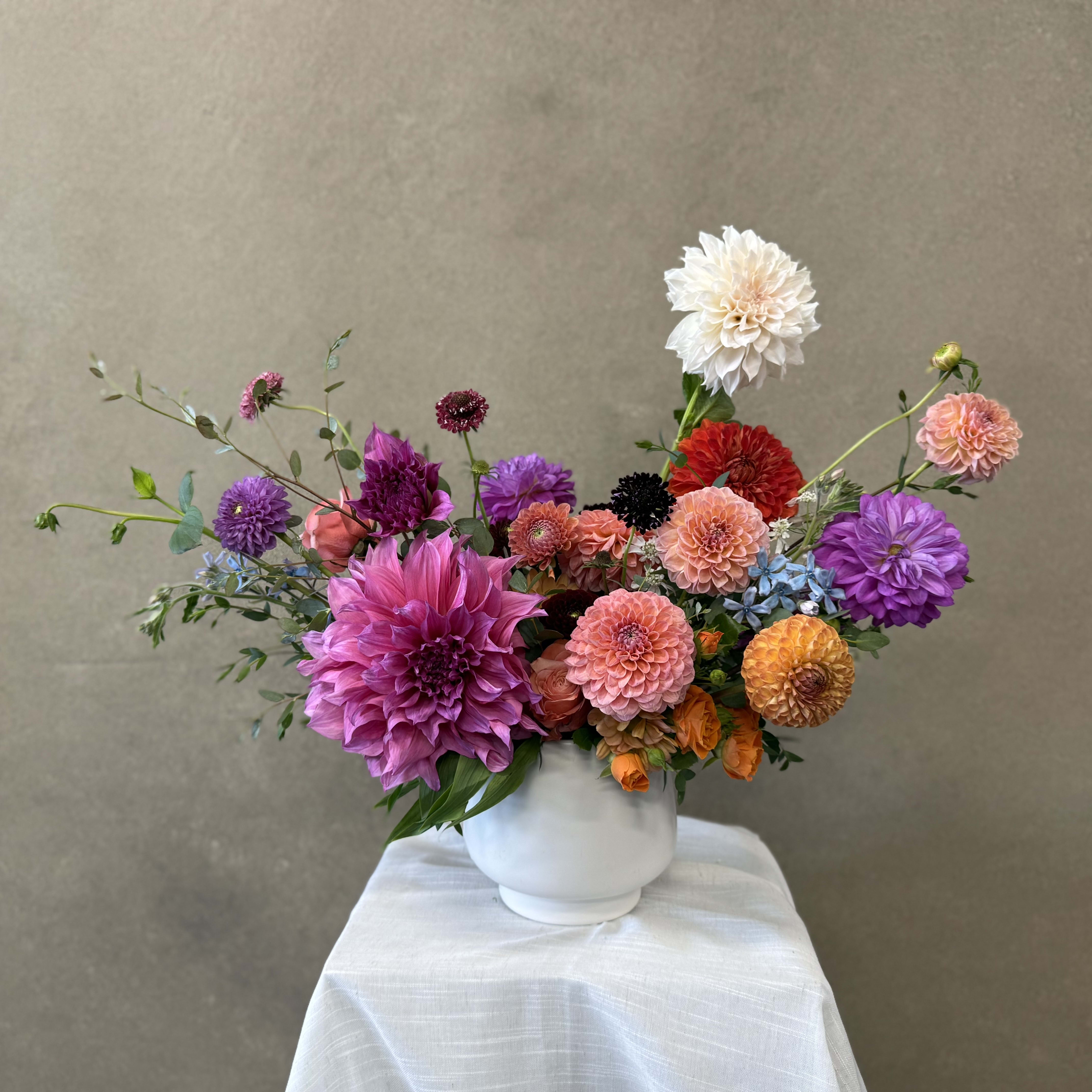 Dahlia Daze