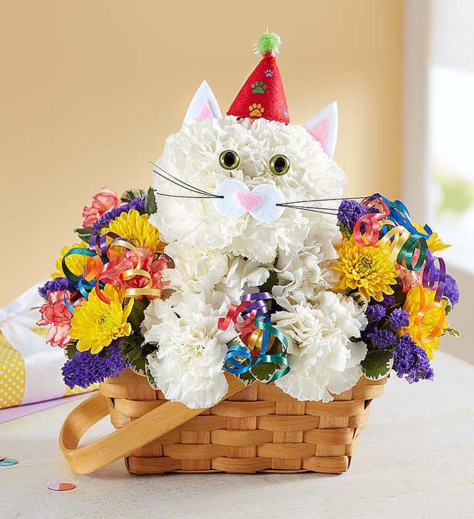 Purrfect Party Cat™