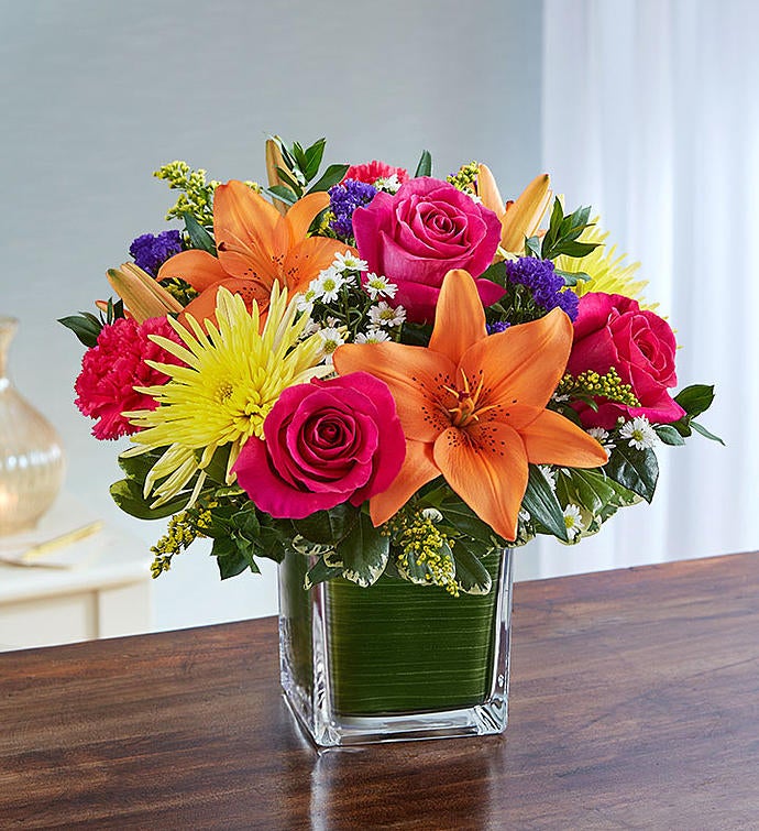 Soothing Sorrows Multicolor Bright