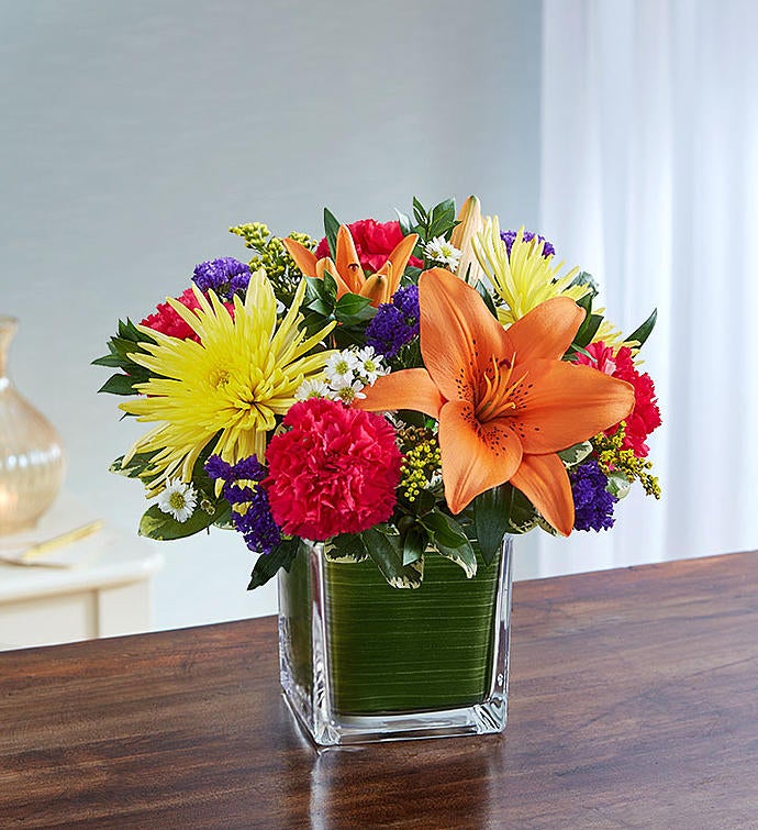 Soothing Sorrows Multicolor Bright