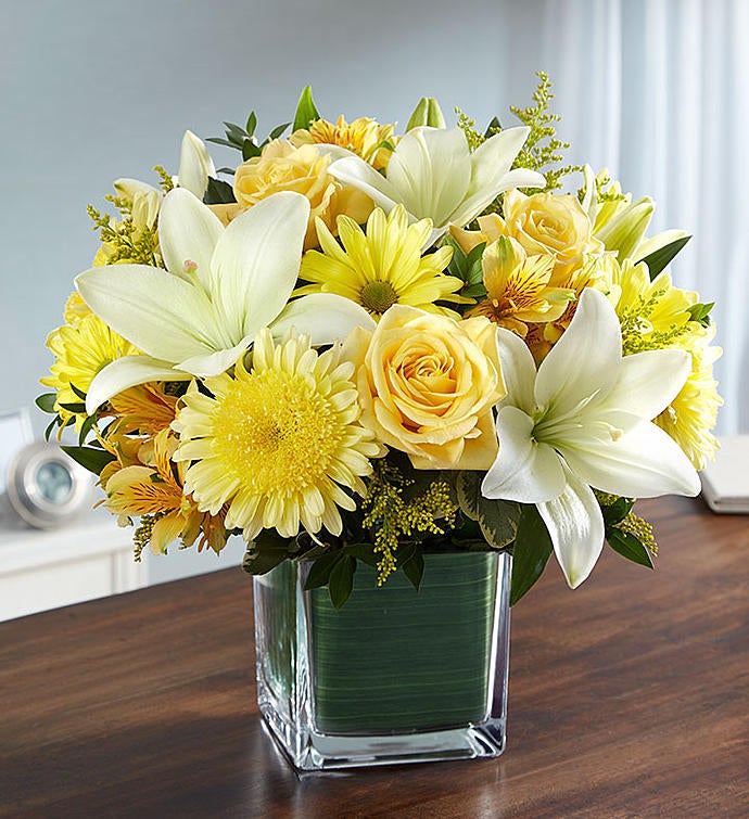 Soothing Sorrows Yellow & White