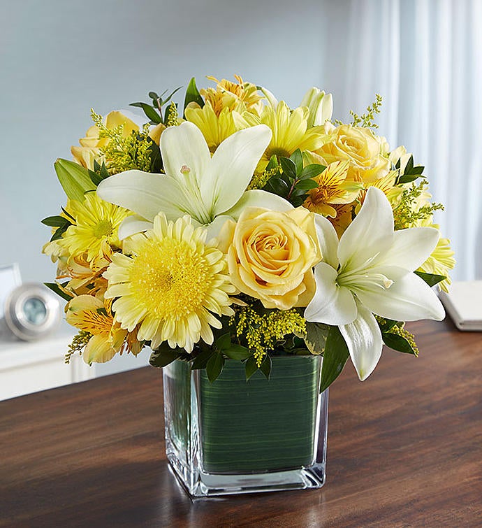 Soothing Sorrows Yellow & White