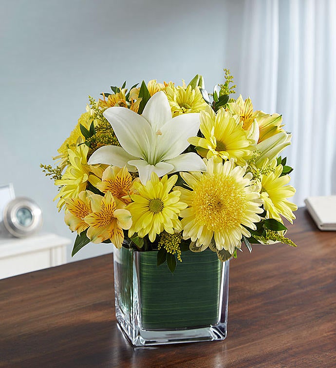 Soothing Sorrows Yellow & White
