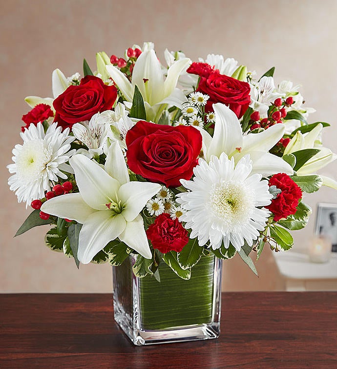 Soothing Sorrows Red & White