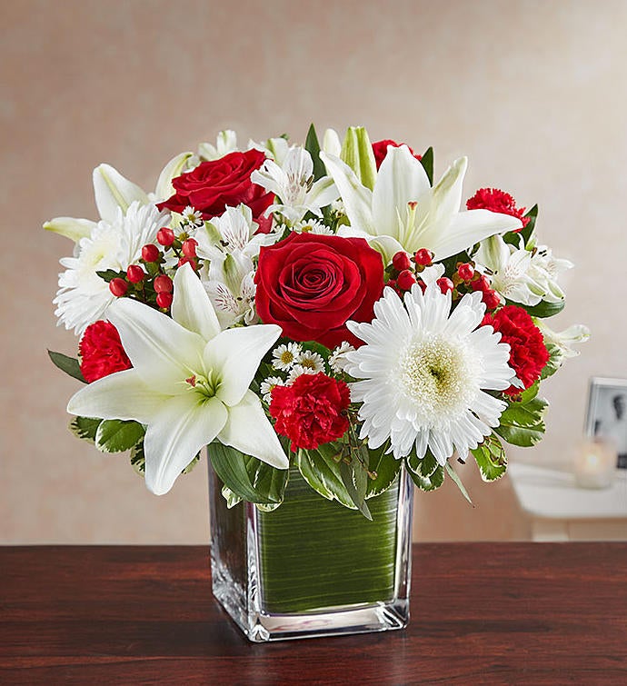 Soothing Sorrows Red & White