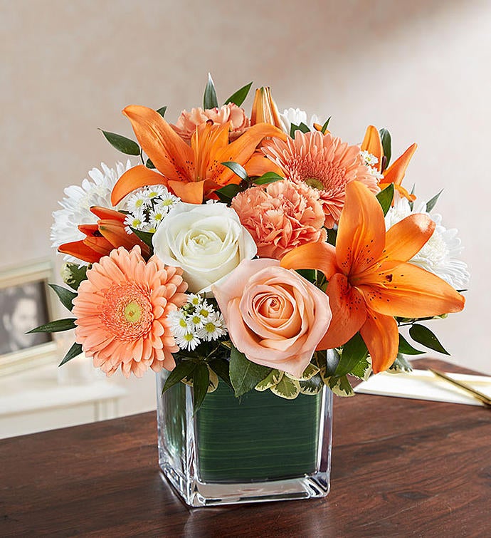 Soothing Sorrows Peach, Orange & White