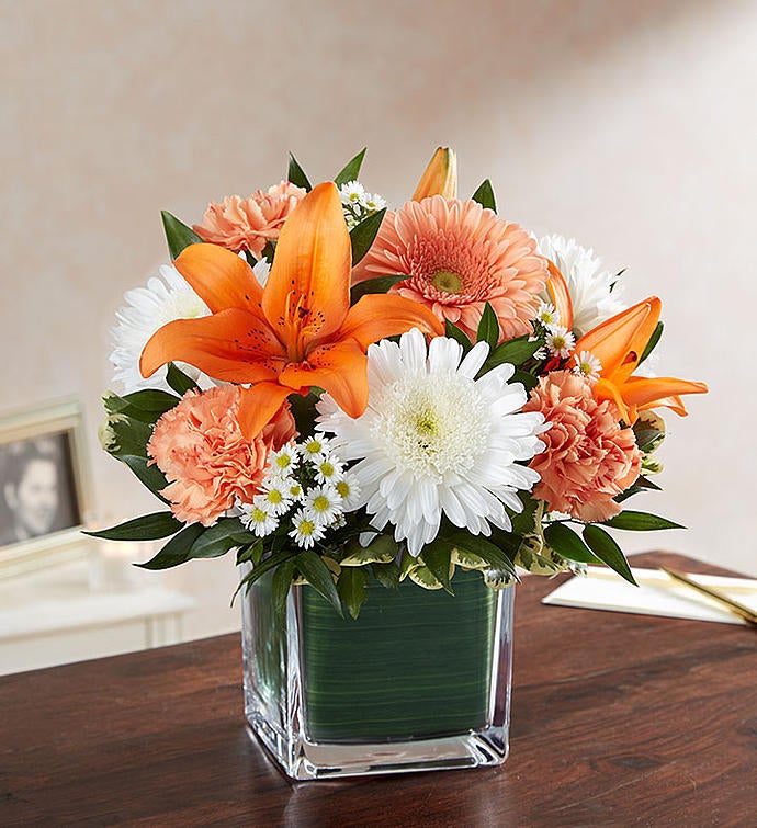 Soothing Sorrows Peach, Orange & White