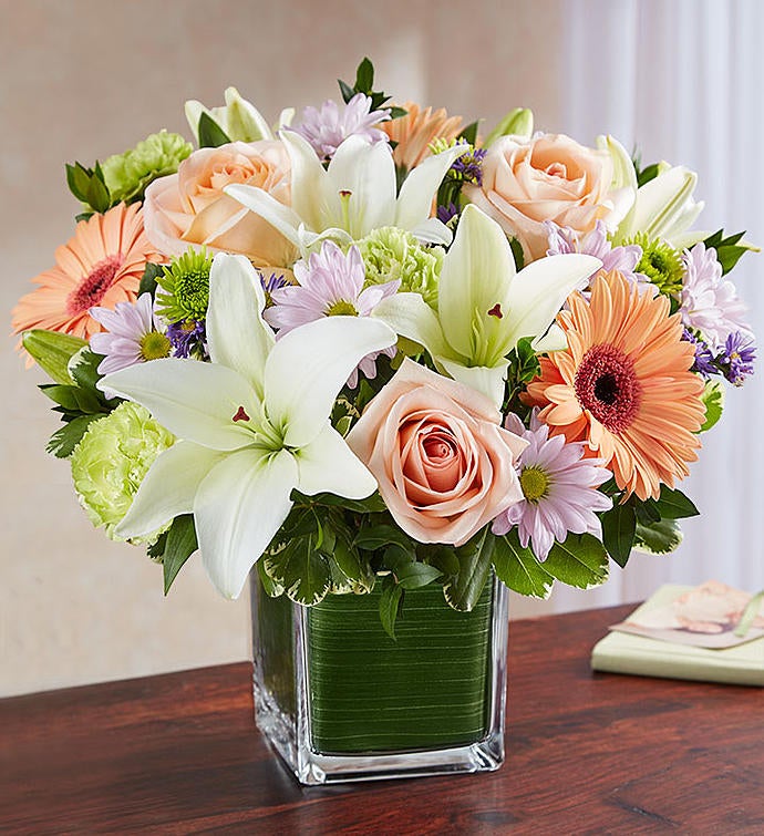 Soothing Sorrows Multicolor Pastel