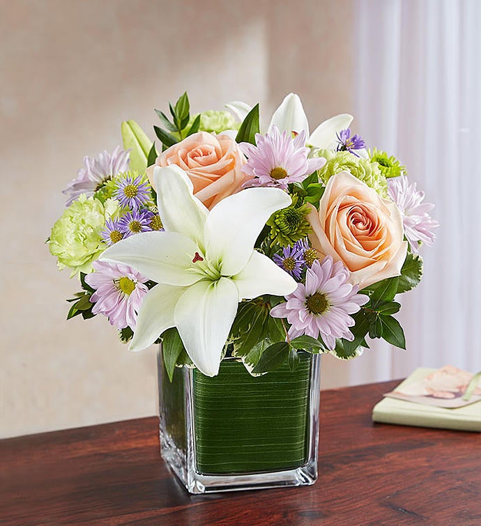 Soothing Sorrows Multicolor Pastel