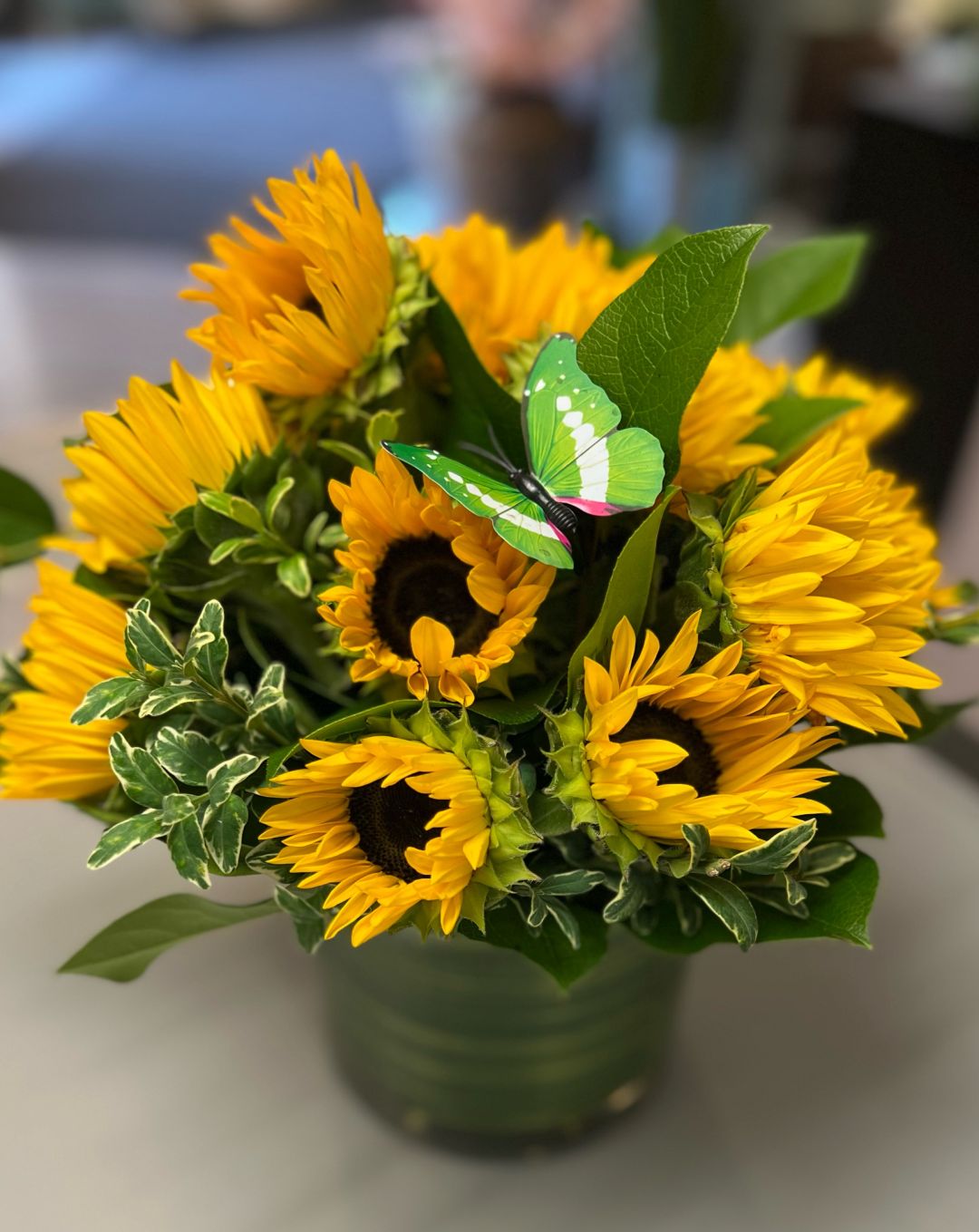 Sunny Sunflower 