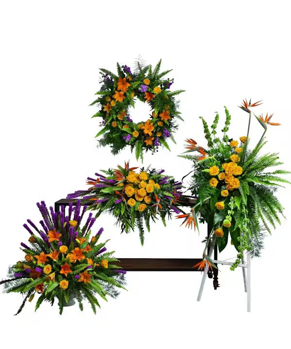 BIRDS OF SOLACE COLLECTION