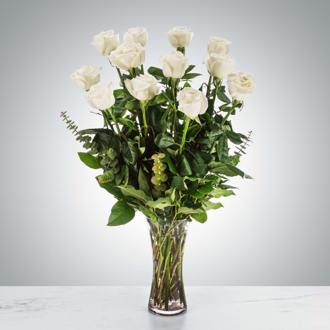 Dozen Premium White Rose