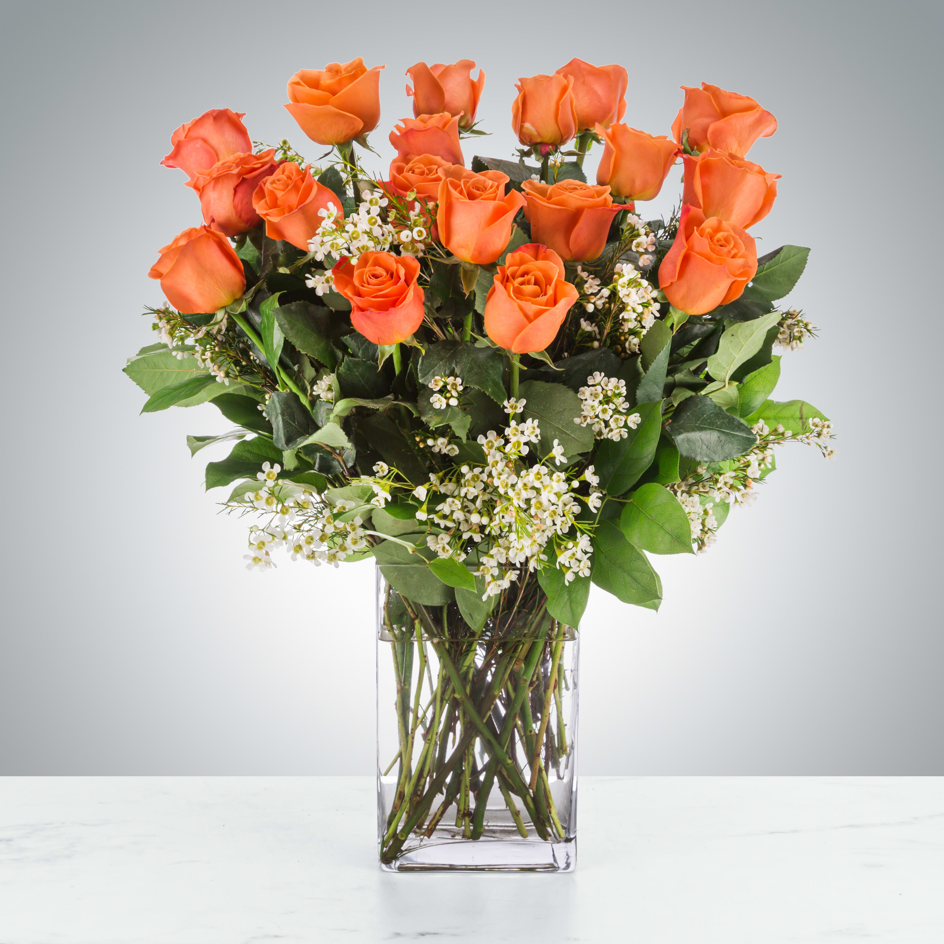 Dozen Long Stem Orange Roses