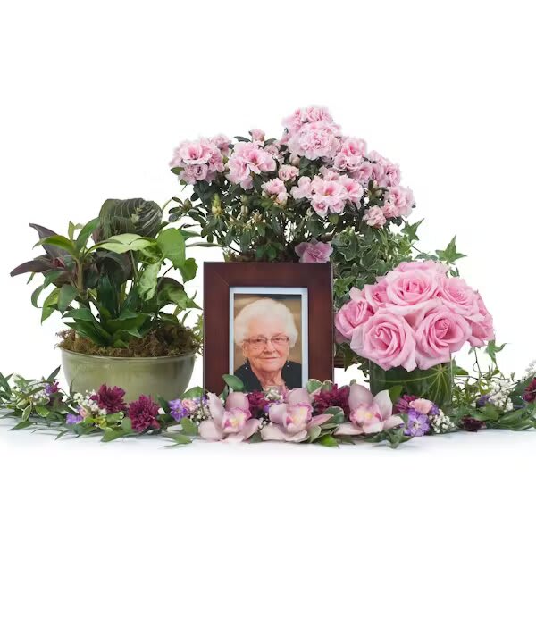 LOVELY LADY TRIBUTE