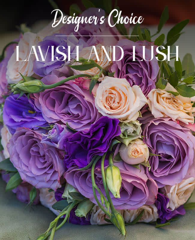 Lavish and Lush