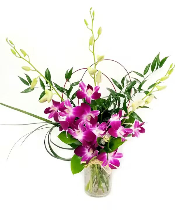 ORCHID VASE-4 STEMS