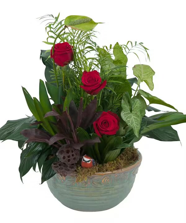 ROSY DISH GARDEN