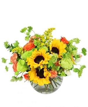Sunflower Garden