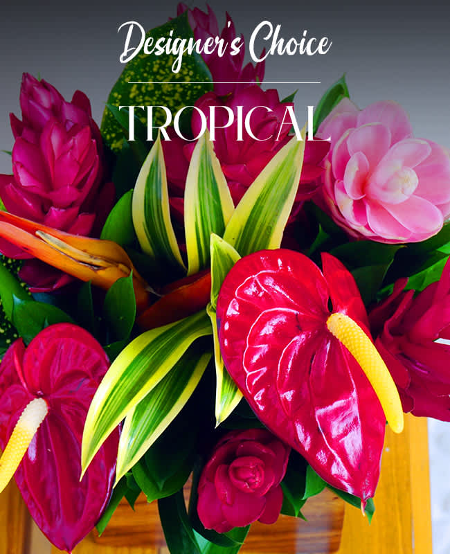 Tropical Floral