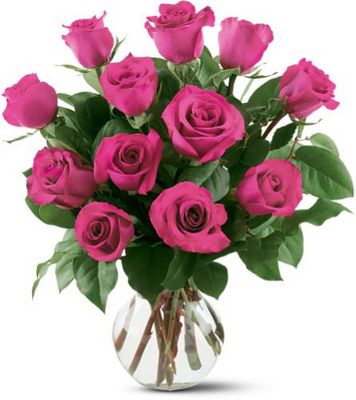 Jacques Flower Shop - Manchester 12 Hot Pink Roses