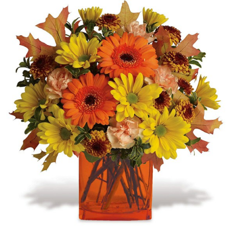 Jacques Flower Shop - Manchester JAC Fall Fashion