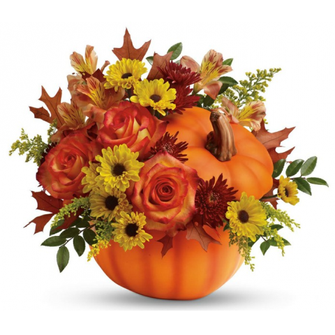 Jacques Flower Shop - Manchester JAC Festive Pumpkin