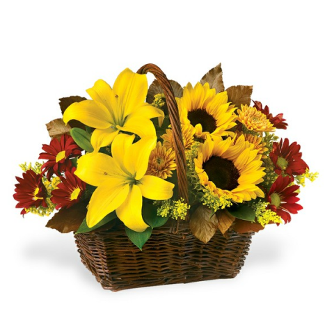 Jacques Flower Shop - Manchester JAC Golden Delights