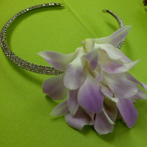 Jacques Flower Shop - Manchester JQP Dendrobium Orchid Bling Headband