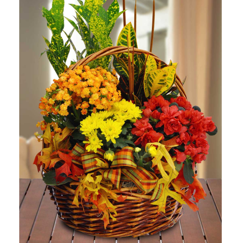 Jacques Flower Shop - Manchester JTH147 Blooming Garden Basket