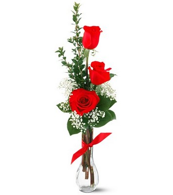 Jacques Flower Shop - Manchester 3 Red Roses Of Thanks