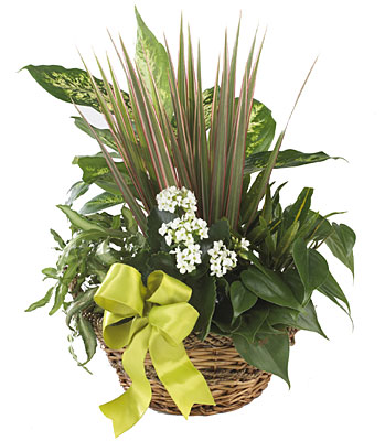 Jacques Flower Shop - Manchester FTD Village Square Planter