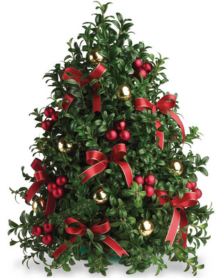 Jacques Flower Shop - Manchester JAC13CP08 Deck the Halls Tree