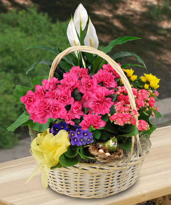 Jacques Flower Shop - Manchester JAC Blooming Garden Basket