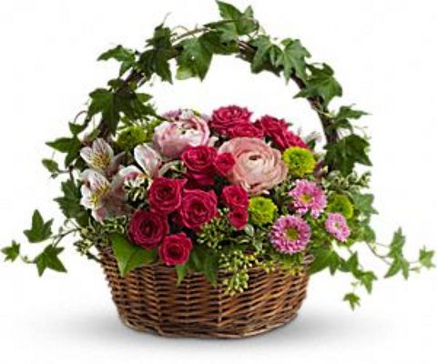 Jacques Flower Shop - Manchester JAC Fairest of All