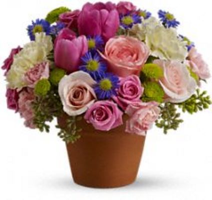 Jacques Flower Shop - Manchester JAC Spring Sonata