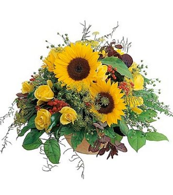Jacques Flower Shop - Manchester JQ 7029 Summer In The Country