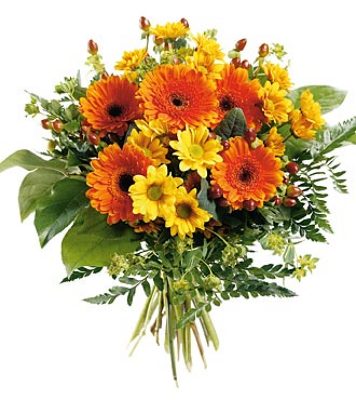 Jacques Flower Shop - Manchester JQ 7261 Bold & Beautiful Hand Bouquet