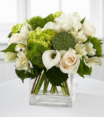 Jacques Flower Shop - Manchester JQ BG02 Pure Heaven