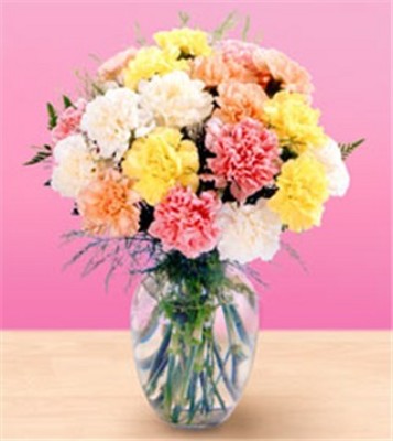 Jacques Flower Shop - Manchester JQ Carnation Bouquet