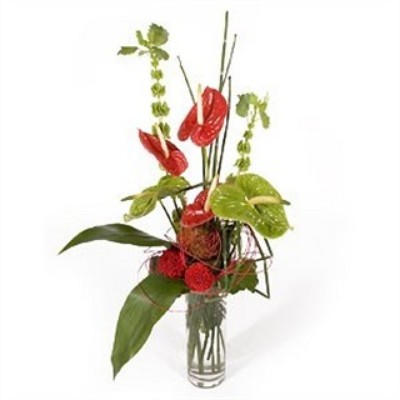 Jacques Flower Shop - Manchester JQ Delightful Tropics