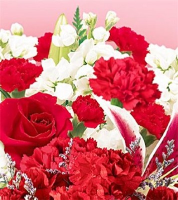 Jacques Flower Shop - Manchester JQ Designer's Specialty