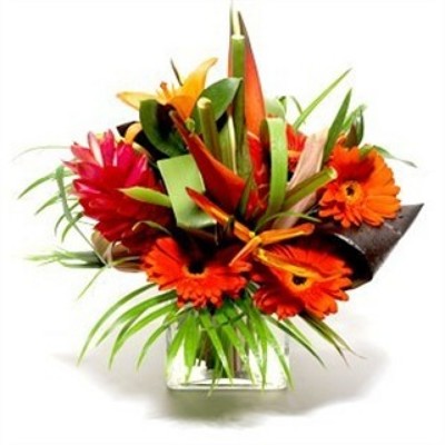 Jacques Flower Shop - Manchester JQ Hot Tropics!