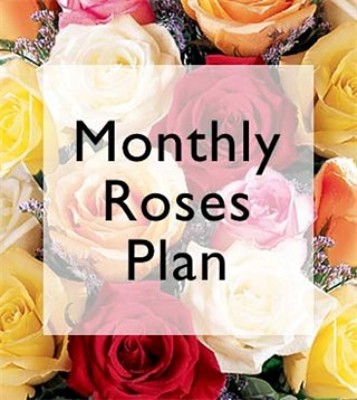 Jacques Flower Shop - Manchester JQ Monthly Rose Plan