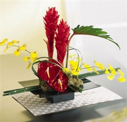 Jacques Flower Shop - Manchester JQ Peaceful Tropics