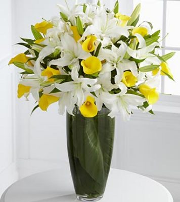 Jacques Flower Shop - Manchester JQ RP41 Vivacious