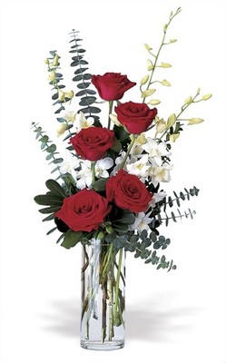 Jacques Flower Shop - Manchester JQ Red and White