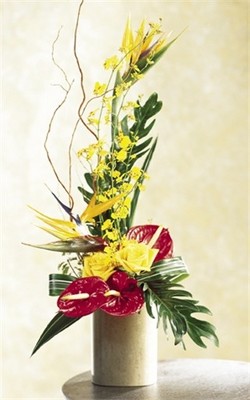Jacques Flower Shop - Manchester JQ Tropical Splash