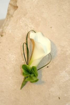 Jacques Flower Shop - Manchester JQW White Mini Calla Bout (2)